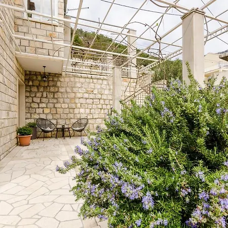 Lise Mokosica Appartement