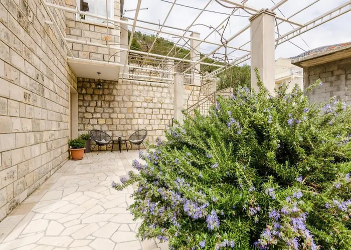 Lise Mokosica Lägenhet